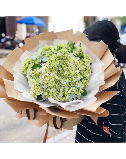 Hoa cẩm tú cầu tặng người yêu 