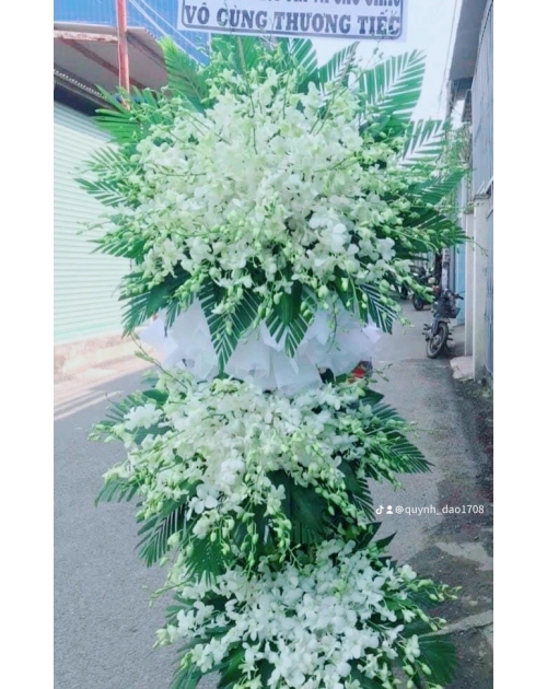 Hoa kiếng viếng 